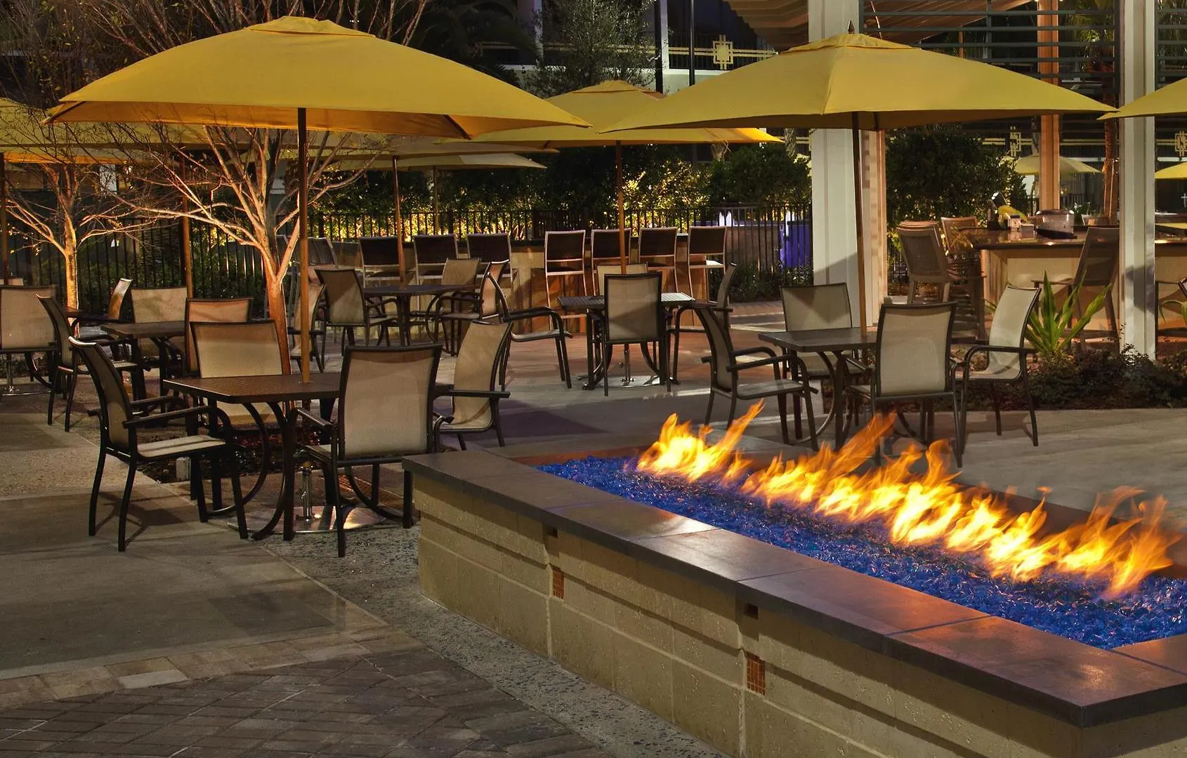 Sheraton Orlando Buena Vista