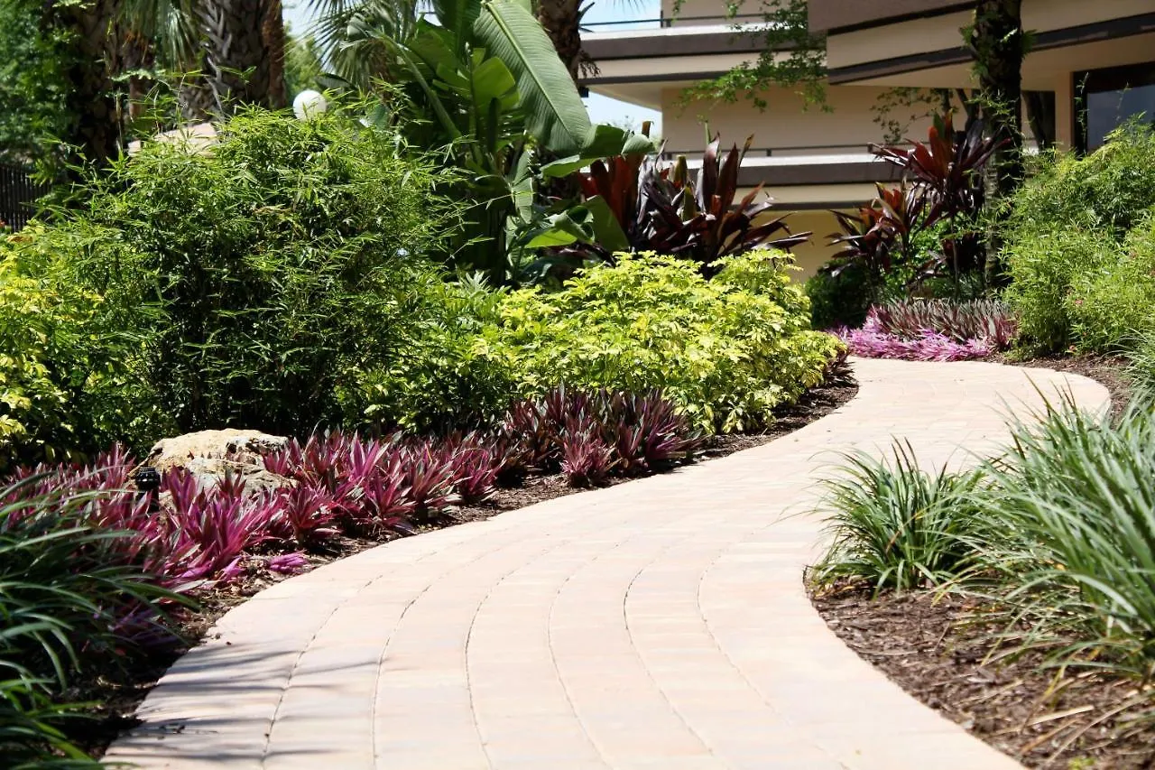 Otel Rosen At Pointe Orlando
