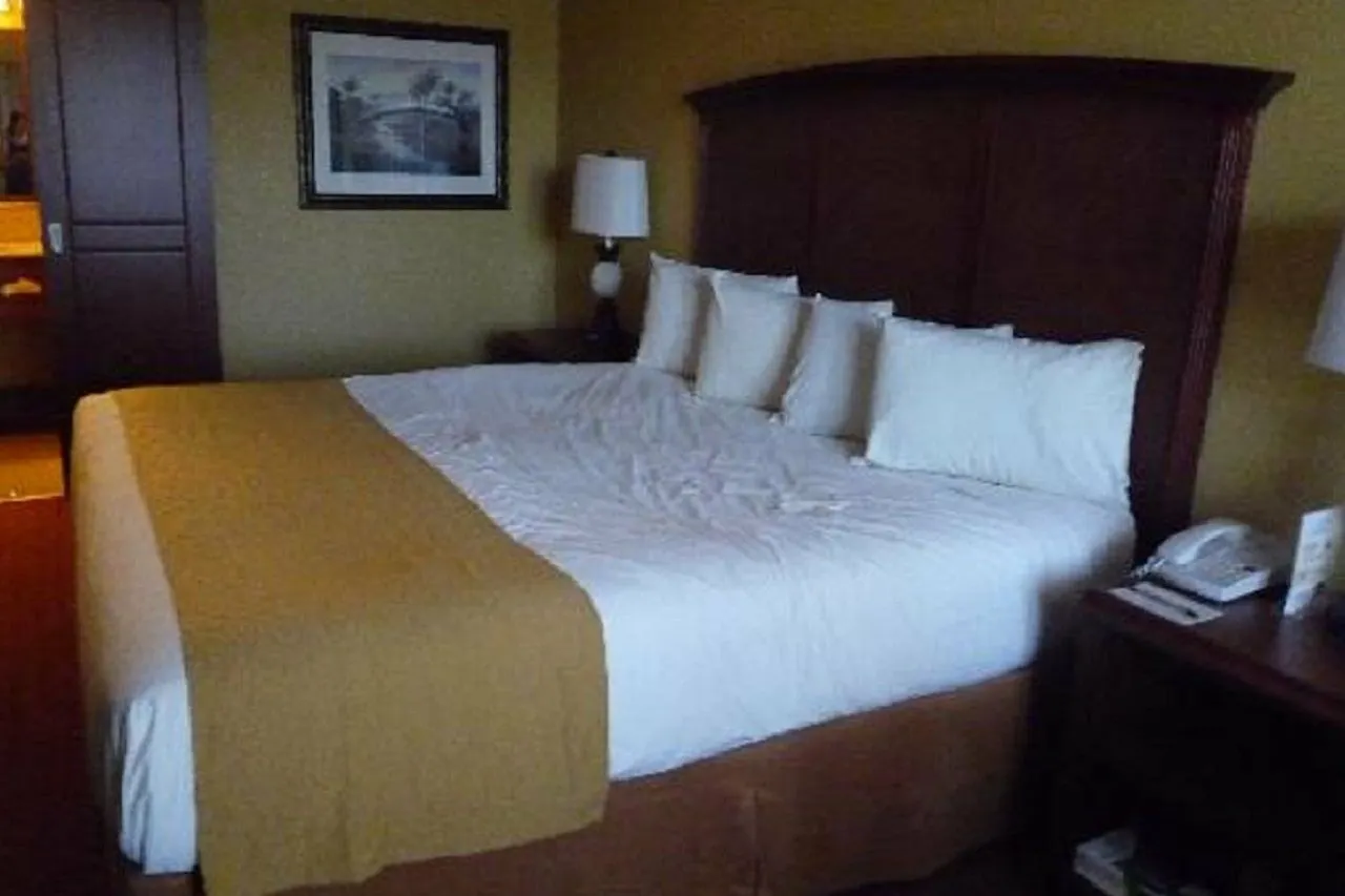Otel Rosen At Pointe Orlando 3*