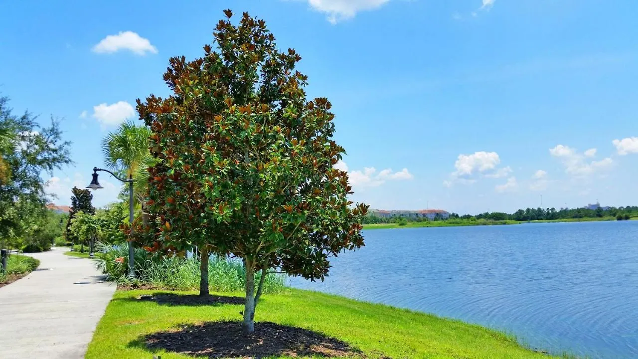 Stunning W Free Access, Near Wdw Kissimmee