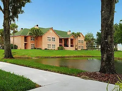 The Palms And