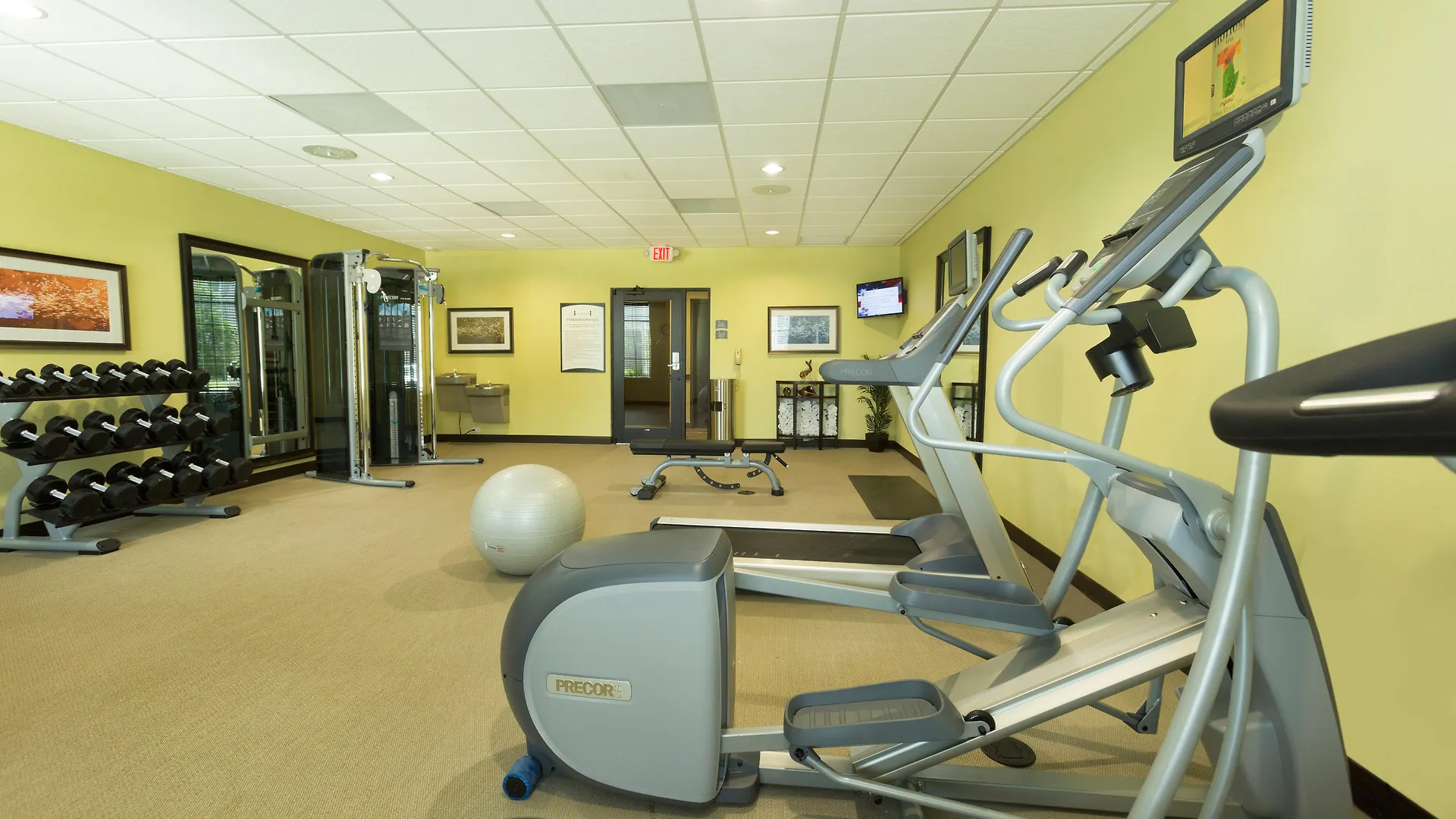 Staybridge Orlando At Seaworld By Ihg - Free Parking & Shuttle To Seaworld Parks Ξενοδοχείο Williamsburg