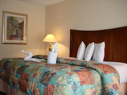 Hotel The Palms And