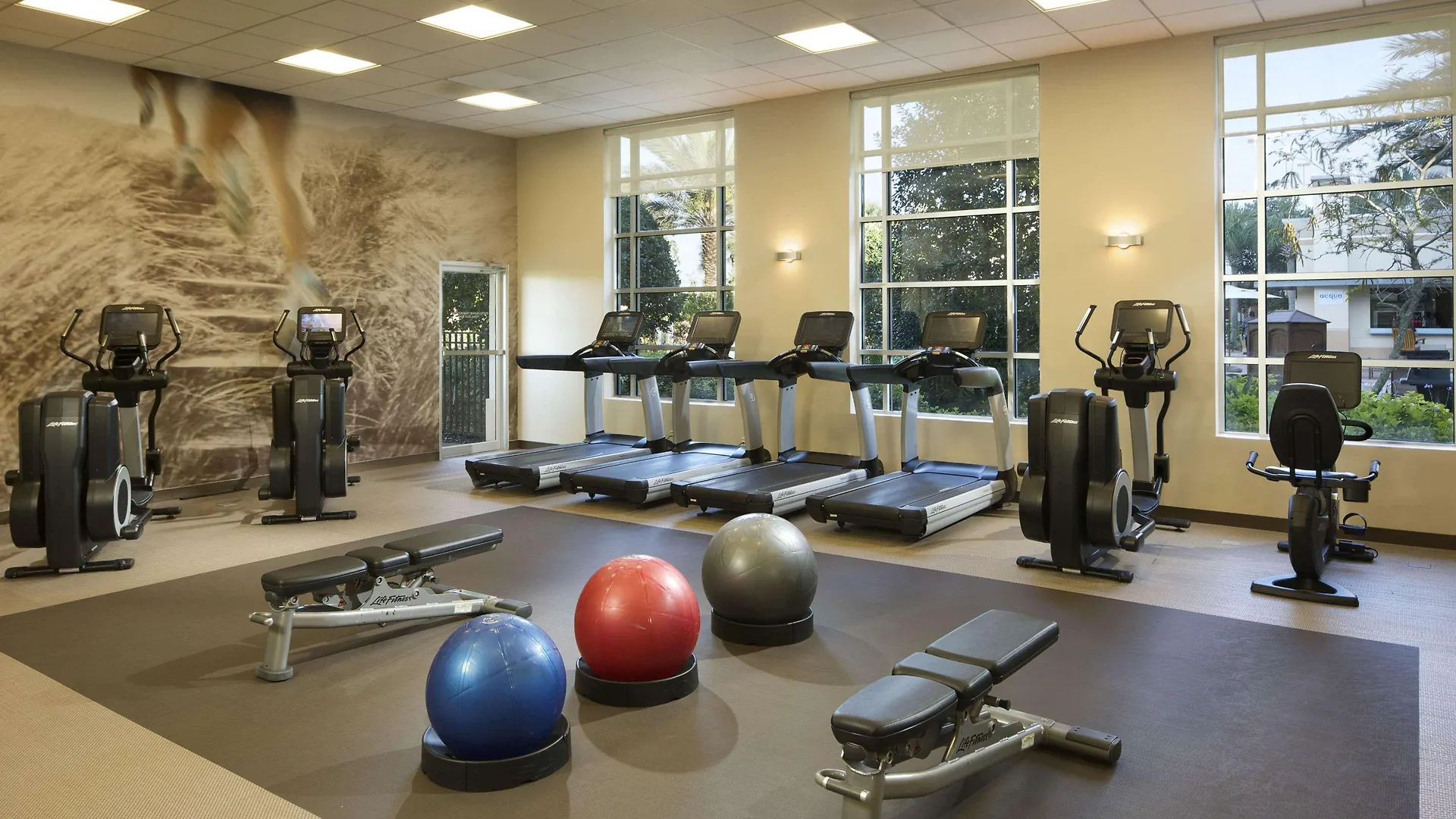 אתר נופש Hilton Grand Vacations Club Palmeras Orlando 3*