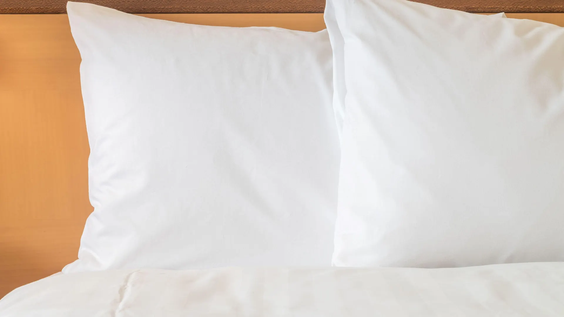 Staybridge Orlando At Seaworld By Ihg - Free Parking & Shuttle To Seaworld Parks Williamsburg