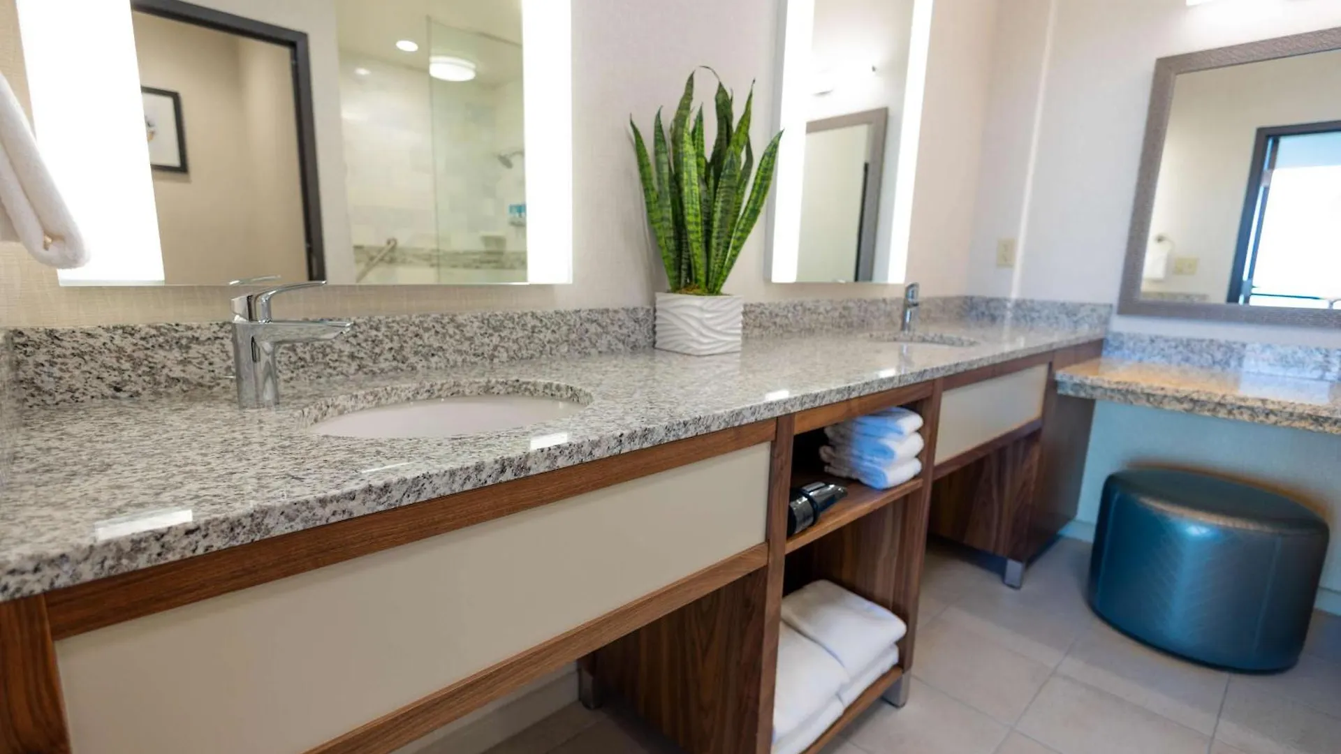 Drury Plaza Orlando - Springs Area Hotel 4*