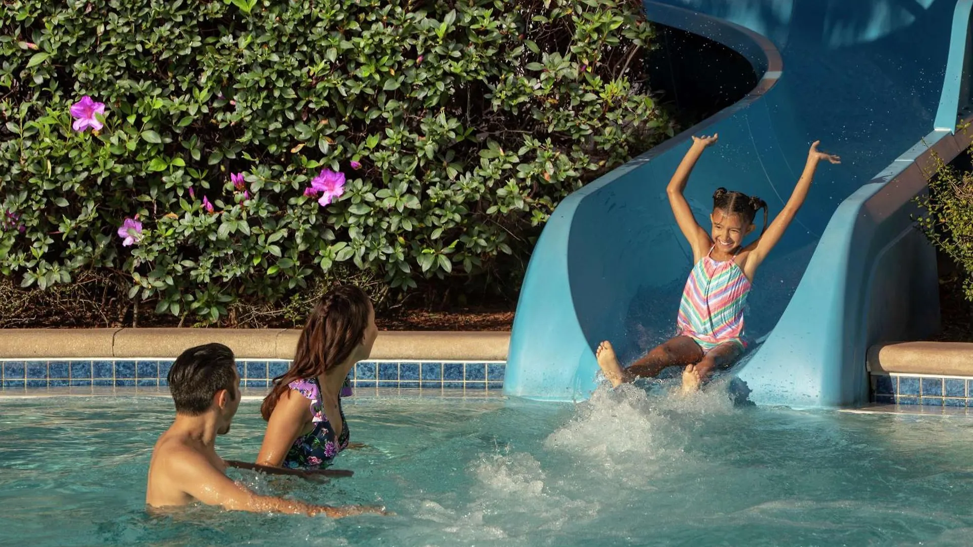 Hilton Orlando Resort 4*