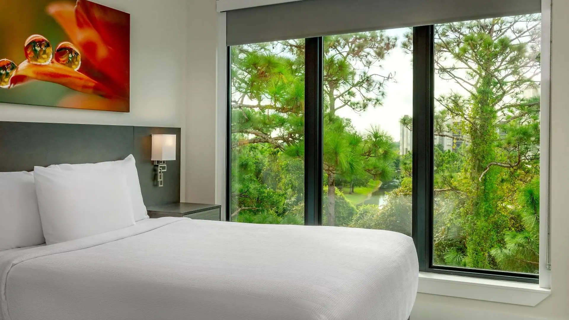The Grove & Water Park Orlando Resort 4*