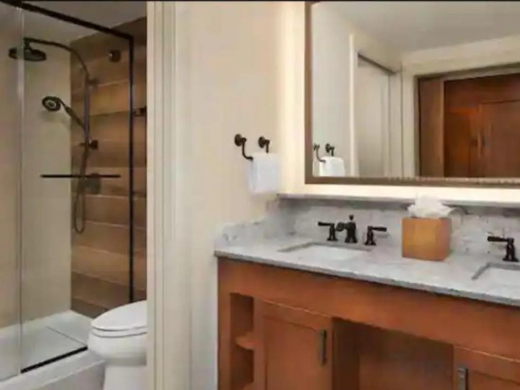 山林小屋 迪士尼荒野小屋 *