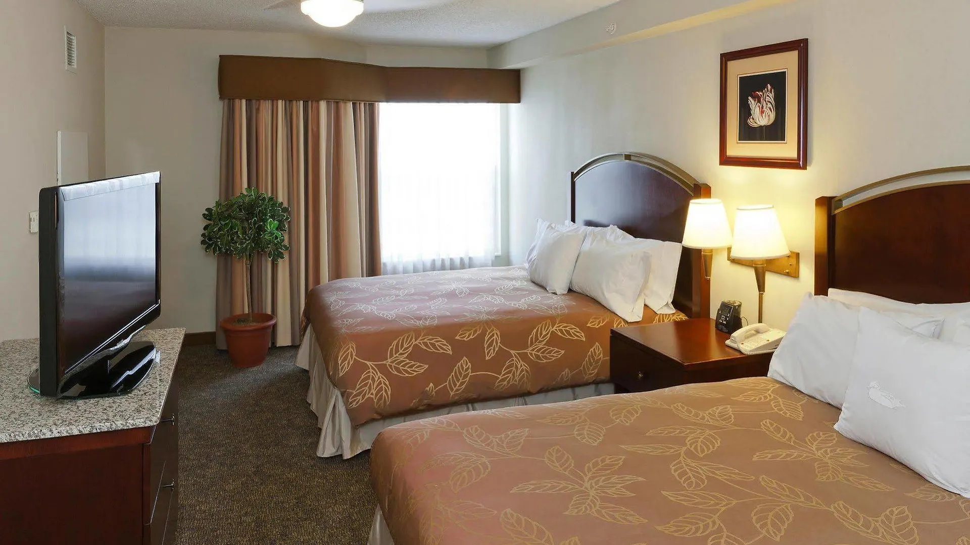 Hotel Homewood By Hilton Orlando-ucf Area 3*