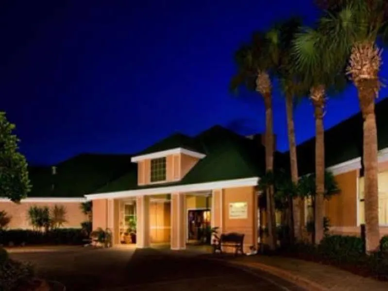 The Palms And