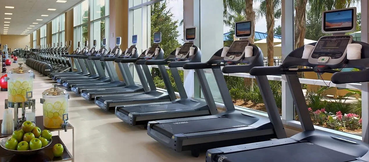 Resort Hilton Orlando 4*