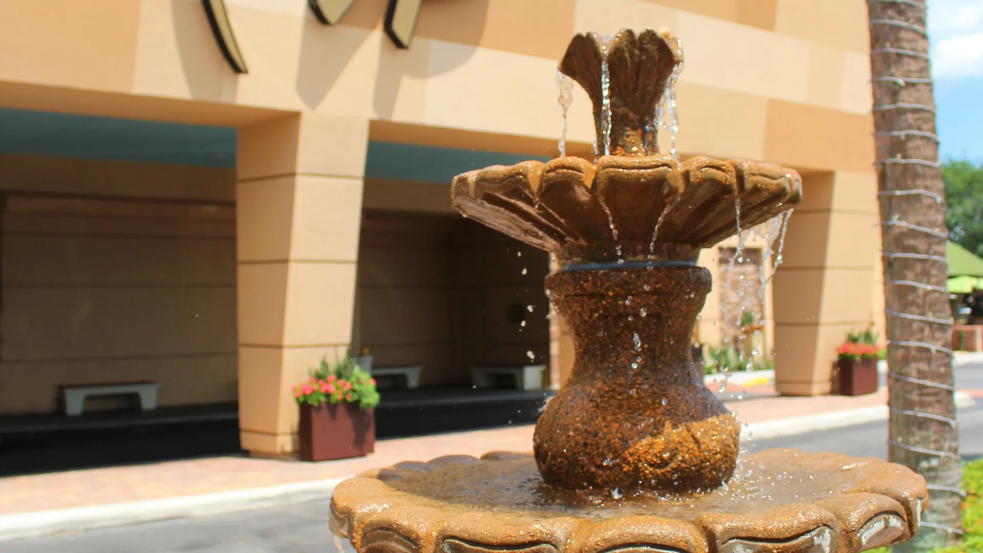 Hotel Rosen International Near The Parks 3*