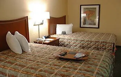 Hotel The Palms And