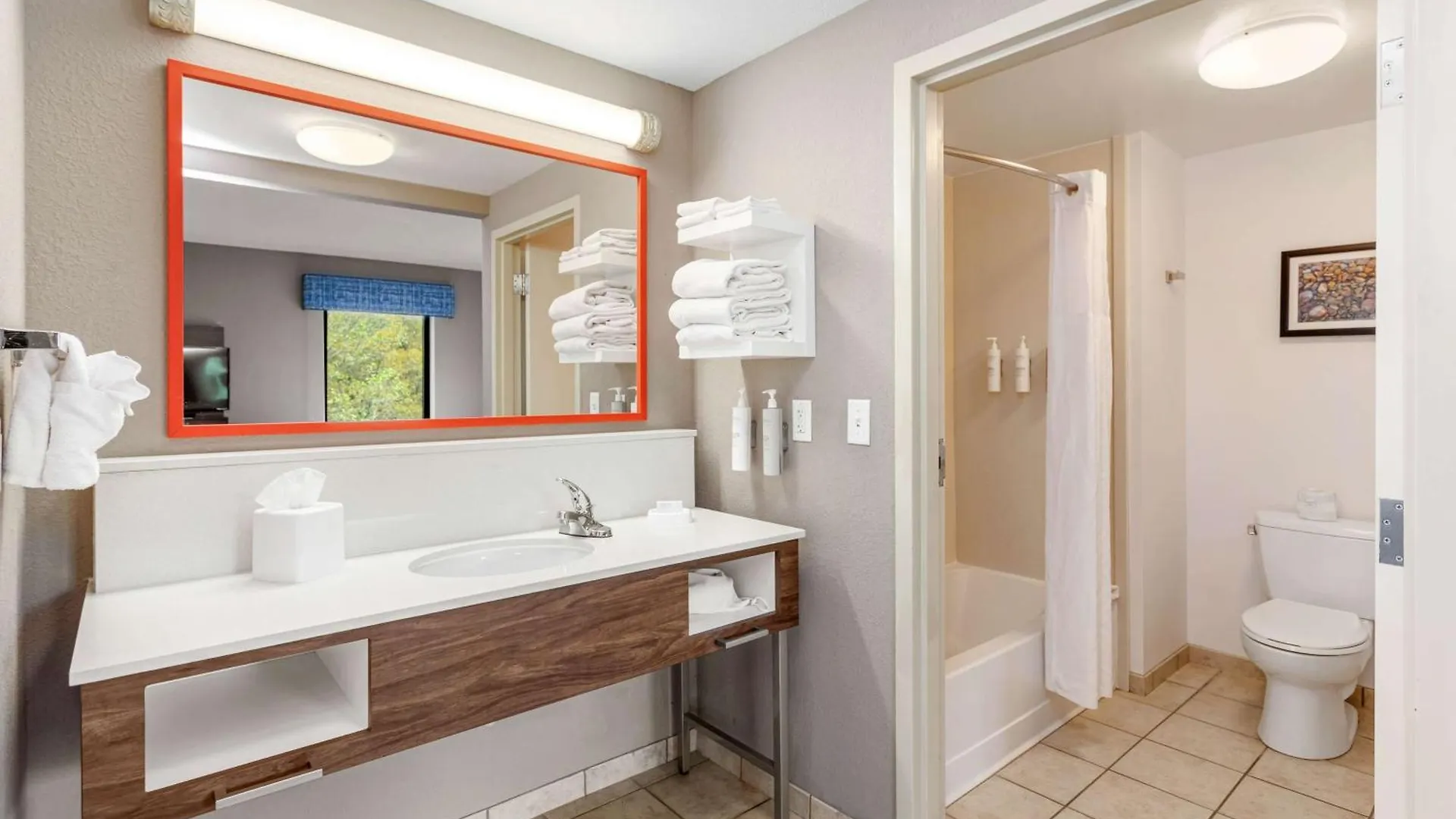 Hotel Hampton & Orlando-apopka 3*