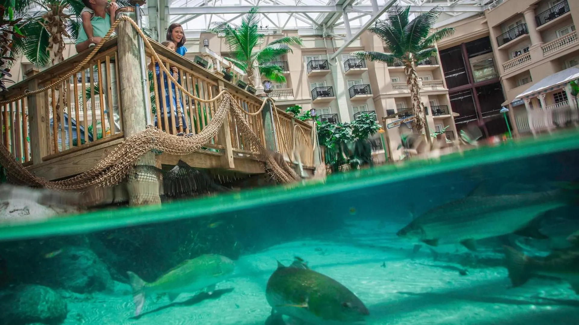 Курортный комплекс Gaylord Palms & Convention Center