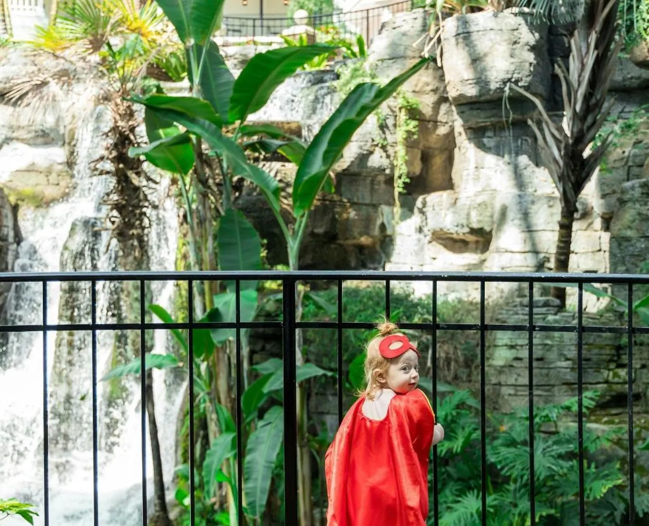 Курортный комплекс Gaylord Palms & Convention Center Селебрейшн