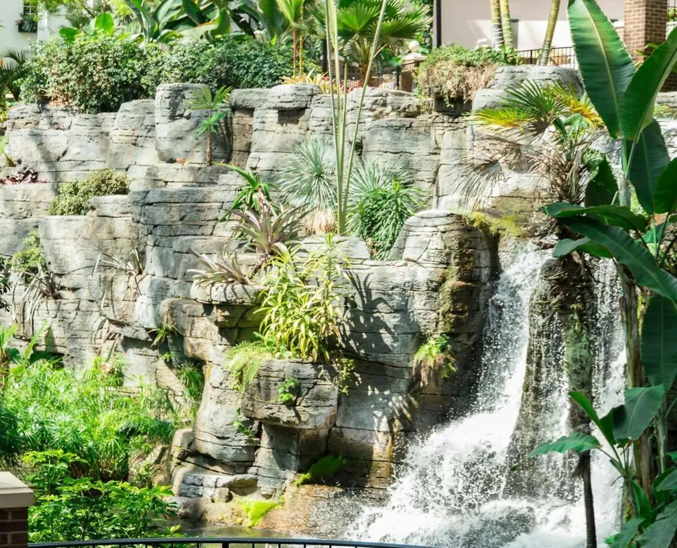 Gaylord Palms & Convention Center 4*