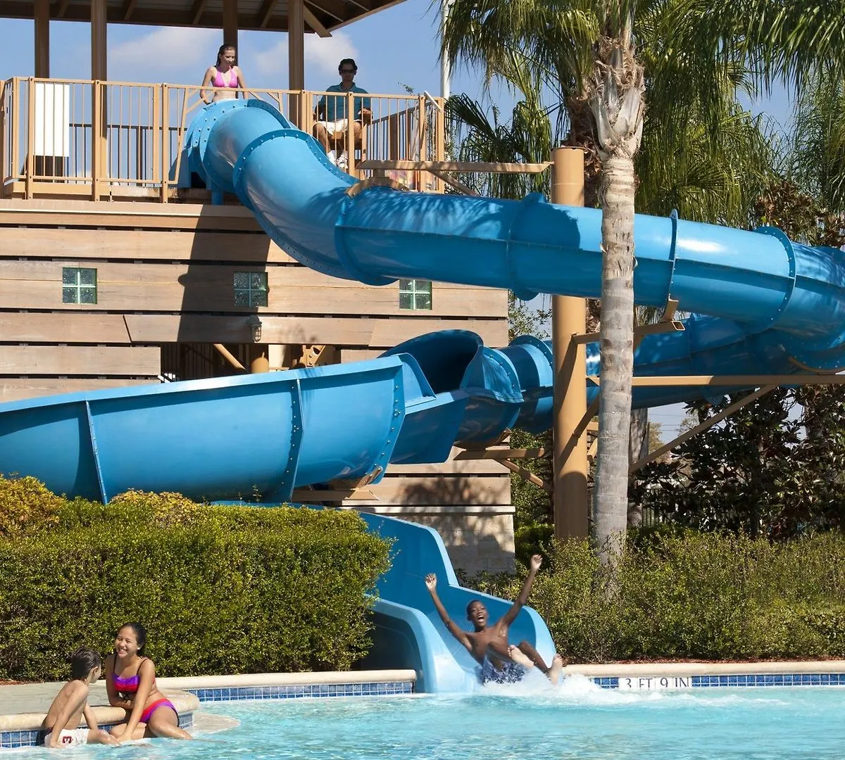Hilton Orlando Williamsburg