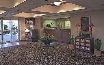 Homewood By Hilton - Orlando Hotel 3*